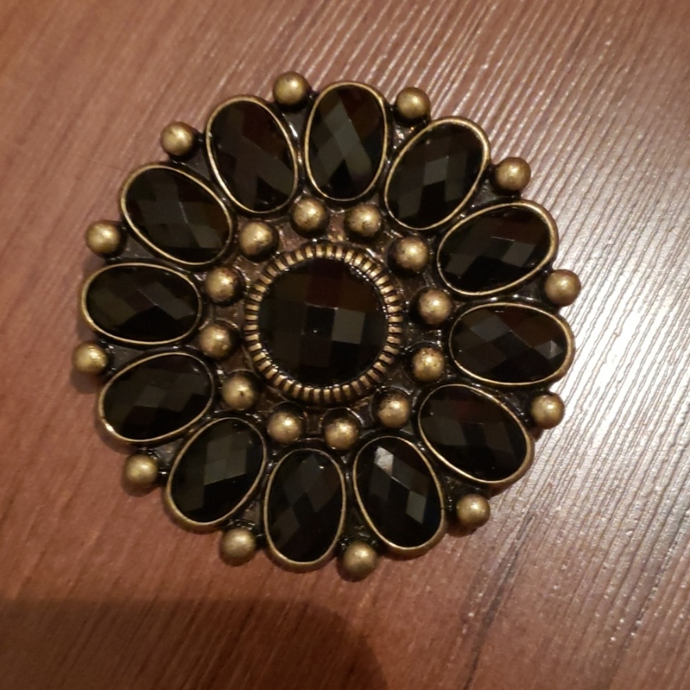Premier designs Nightingale pin/pendant